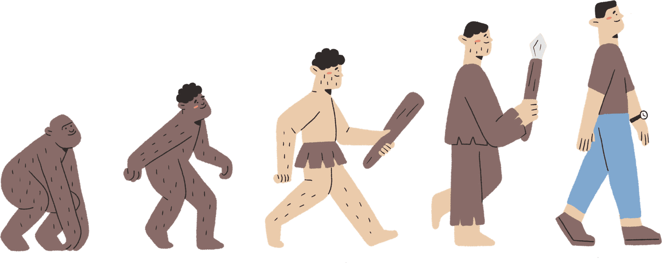 The long march of human evolution, from ape to modern person